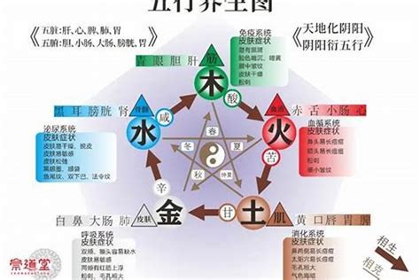 五行木旺缺水|八字五行木旺缺水 (根据个人八字改善命运的方法)